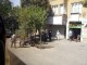 Thumbs/tn_100_0959.jpg