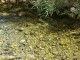 Thumbs/tn_100_1142.jpg