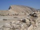Thumbs/tn_100_1159.jpg