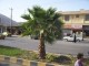Thumbs/tn_100_1166.jpg