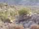 Thumbs/tn_100_1174.jpg
