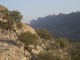 Thumbs/tn_100_1175.jpg