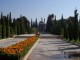 Thumbs/tn_100_1186.jpg