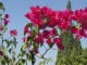 Thumbs/tn_100_1202.jpg