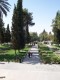 Thumbs/tn_100_1218.jpg