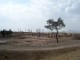 Thumbs/tn_100_1368.jpg