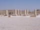Thumbs/tn_100_1405.jpg