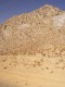 Thumbs/tn_100_1422.jpg