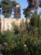 Thumbs/tn_100_1471.jpg