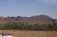 Thumbs/tn_100_2035.jpg
