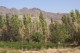 Thumbs/tn_100_2036.jpg