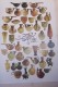 Thumbs/tn_100_2050.jpg
