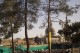 Thumbs/tn_100_2114.jpg
