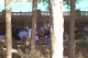 Thumbs/tn_100_2115.jpg