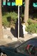 Thumbs/tn_100_2119.jpg