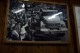 Thumbs/tn_100_2169.jpg