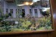 Thumbs/tn_100_2175.jpg