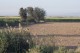 Thumbs/tn_100_2266.jpg