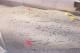 Thumbs/tn_100_2288.jpg