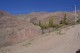 Thumbs/tn_100_2768.jpg