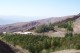 Thumbs/tn_100_2773.jpg