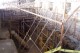 Thumbs/tn_100_2787.jpg