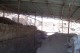 Thumbs/tn_100_2788.jpg
